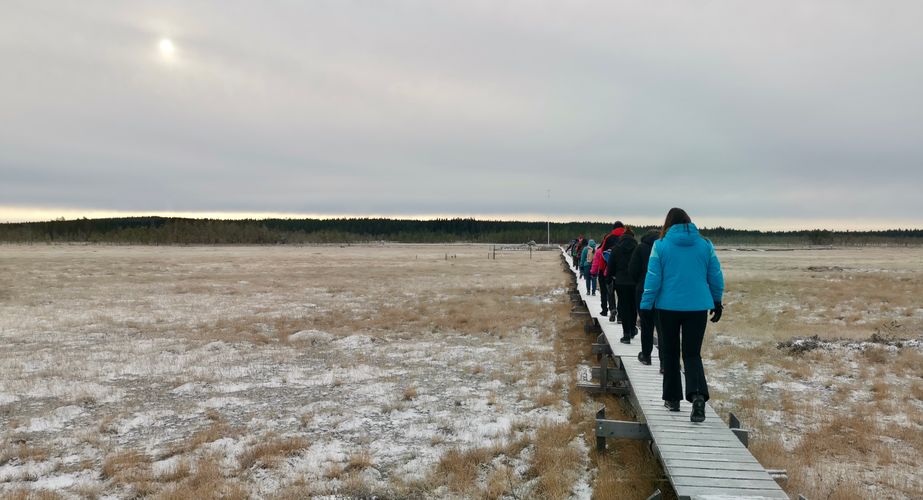Hike in de natuur van Zweden
